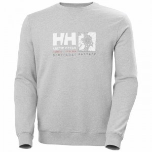 Férfi Helly Hansen Arctic Ocean Sweat Pulóverek Szürke | CYAEI-7341
