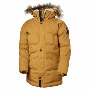 Férfi Helly Hansen Barents Alkalmi Dzsekik Barna | IBRGL-2643