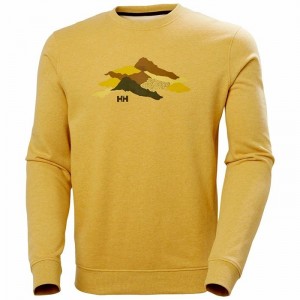 Férfi Helly Hansen F2f Organic Cotton Pulóverek Barna | JKCYV-3047