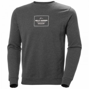 Férfi Helly Hansen F2f Organic Cotton Pulóverek Szürke | EROMC-0935