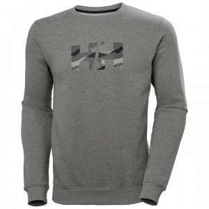 Férfi Helly Hansen F2f Organic Cotton Pulóverek Szürke | HDOJW-7438
