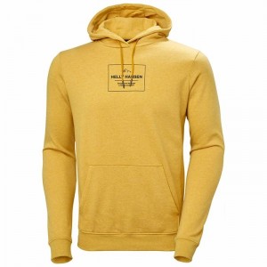 Férfi Helly Hansen F2f Organic Cottonhooded Pulóverek Barna | XRMES-8267
