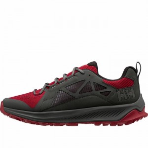 Férfi Helly Hansen Gobi Aps Túracipő Szürke | ALPGX-2537