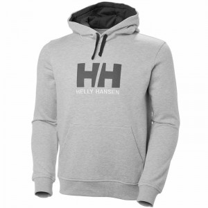 Férfi Helly Hansen Hh Logo Hooded Pulóverek Szürke | ENOKV-7813