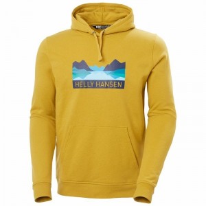 Férfi Helly Hansen Nord Graphic Pull Over Hooded Pulóverek Barna | FXEDZ-4879
