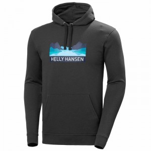 Férfi Helly Hansen Nord Graphic Pull Over Hooded Pulóverek Szürke | JFAKY-6502